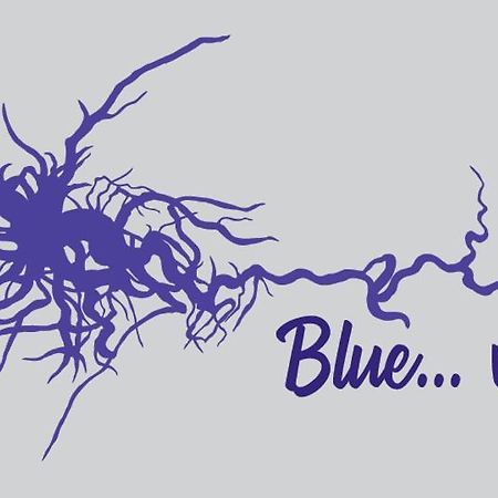 纳夫普利翁Blue...Violet公寓 外观 照片