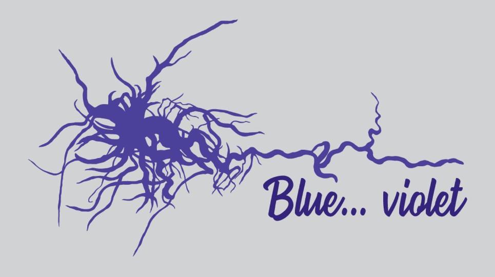 纳夫普利翁Blue...Violet公寓 外观 照片